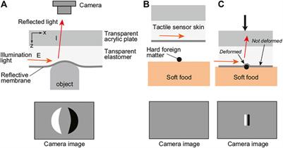 Detection of Foreign Bodies in Soft Foods Employing Tactile Image Sensor